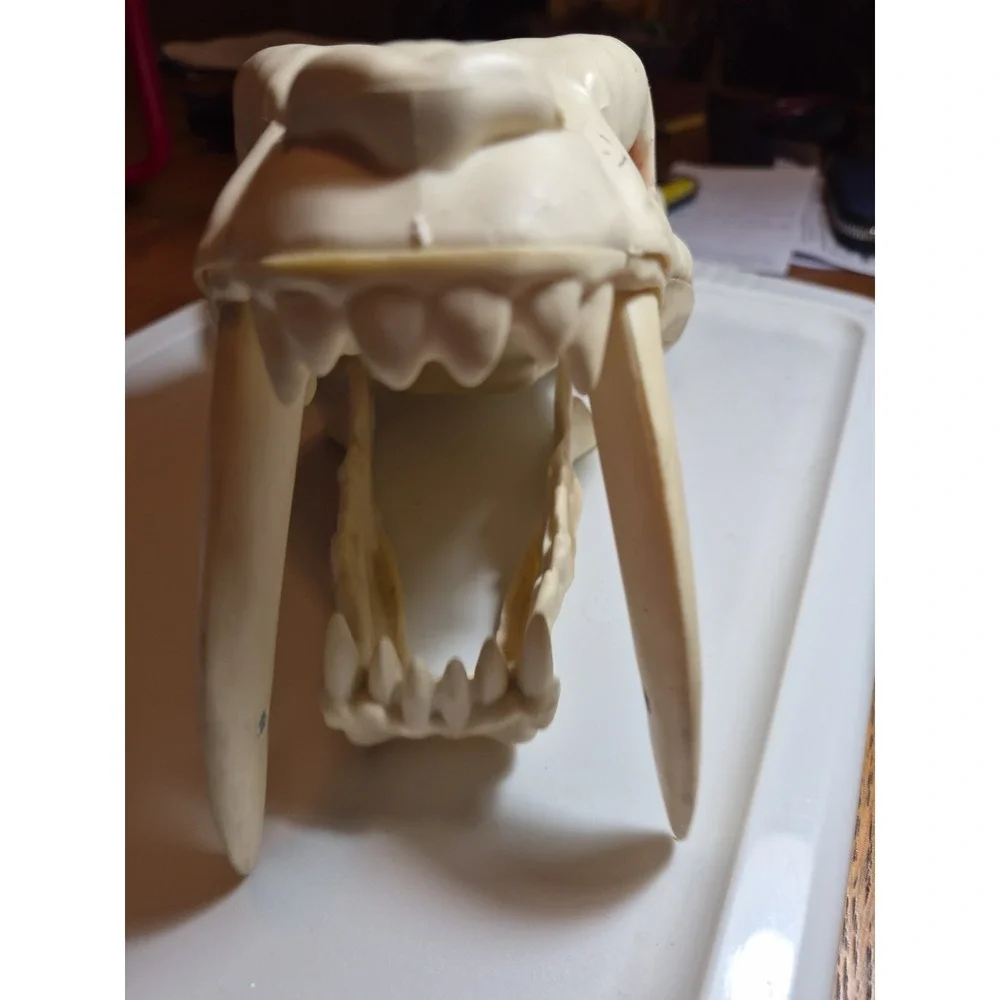 Sabre Tooth Tiger Skull Motorized Roars And Moves Mouth Halloween Decorations